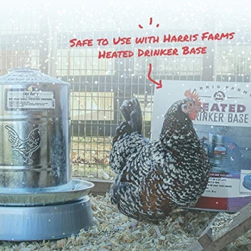 Harris Farms Professional 2 Gallon Metal Poultry Waterer