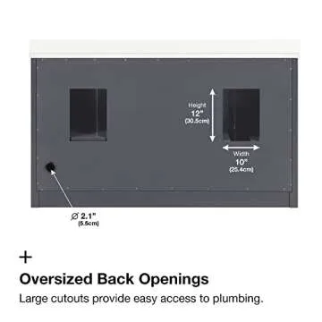 Ove Decors Tahoe-Lux 60 in. Double Sink Bathroom Vanity