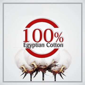 Precious Star Linen White Edge Ruffle European 28x28 Inch Pillow Shams Long-Staple Egyptian Cotton Hotel Class Set of 2 Decorative Euro Square Pillow Cover, Envelope Closure Soft & Cozy