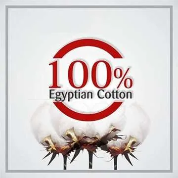 Precious Star Linen White Edge Ruffle European 28x28 Inch Pillow Shams Long-Staple Egyptian Cotton Hotel Class Set of 2 Decorative Euro Square Pillow Cover, Envelope Closure Soft & Cozy