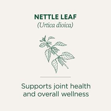 Traditional Medicinals Organic Nettle Leaf Herbal Tea, Supports Joint Health & Overall Wellness, (Pa...