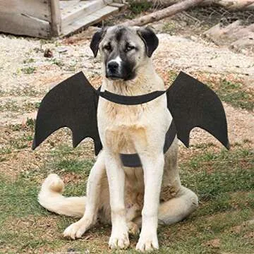 Rypet Dog Bat Costume for Halloween & Parties XL