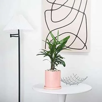 EtooCafe Ceramic Plant Pots with Drain Hole for Home