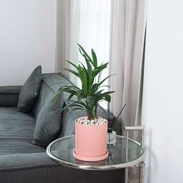 EtooCafe Ceramic Plant Pots with Drain Hole for Home