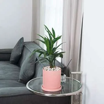 EtooCafe Ceramic Plant Pots with Drain Hole for Home