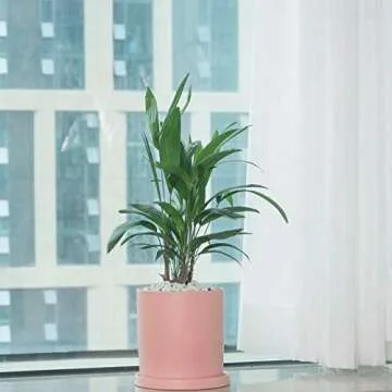 EtooCafe Ceramic Plant Pots with Drain Hole for Home