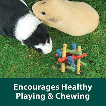 Kaytee Knot Nibbler Chew Toy for Pet Guinea Pigs, Dwarf Rabbits and Other Small Animals, Medium
