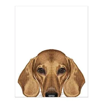Dachshund Wall Art Decor Prints – Set of 4 Unframed