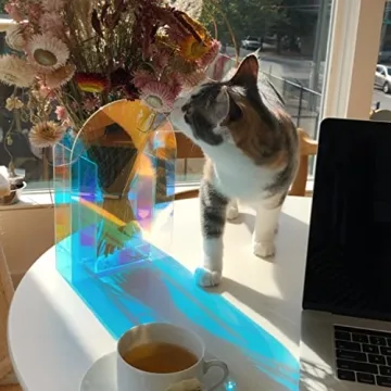 Lunar Sol Iridescent Vase - Unique Home Decor Centerpiece