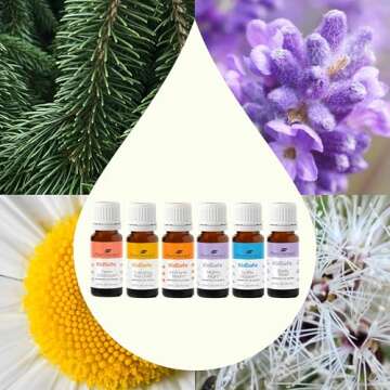Plant Therapy KidSafe Essential Oil Starter Set for Focus, Calming, Sleep, Immune Support 100% Pure, 6 Undiluted Blends, Natural Aromatherapy, Therapeutic Grade 10 mL (1/3 oz)