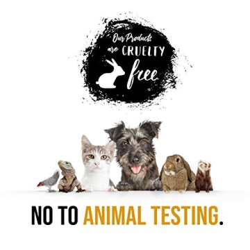 Indulge in Luxurious Curio Spa Gift Set for All