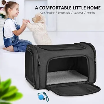 Henkelion Soft Pet Carrier for Cats & Small Dogs