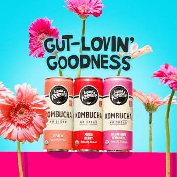 Liquid Remedy Sugar Free Kombucha - Fruity Faves 12-Pack