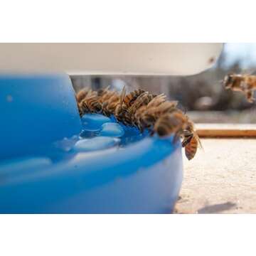 Homestead Essentials Ultimate Hive Feeder for Beekeepers 2 Pack from Farmstand Supply (in Hive)