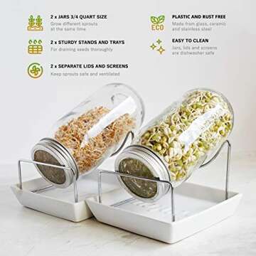Seed Sprouting Jar Kit - 2 Sprouter Mason Jars with Screen Lids Stands and Trays - Sprout Maker to Grow Your Own Broccoli Alfalfa Beans Microgreens Sprouts - Seeds Germination Growing Kit BPA Free