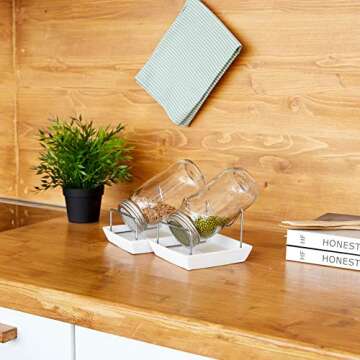 Seed Sprouting Jar Kit - 2 Sprouter Mason Jars with Screen Lids Stands and Trays - Sprout Maker to Grow Your Own Broccoli Alfalfa Beans Microgreens Sprouts - Seeds Germination Growing Kit BPA Free