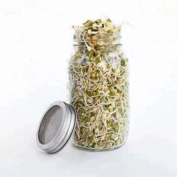 Seed Sprouting Jar Kit for Home Nutrition