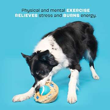 Barkbox Dog Toys – Ballberry Pie Squeaker Ball Interactive Chew Toys – Durable & Tough Tennis Balls, Training, Exercise & Beating Boredom – Stimulating Plush, Small/Medium Breed & Puppies