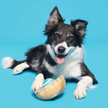 Barkbox Dog Toys – Ballberry Pie Squeaker Ball Interactive Chew Toys – Durable & Tough Tennis Balls, Training, Exercise & Beating Boredom – Stimulating Plush, Small/Medium Breed & Puppies