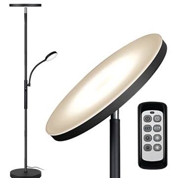 Dimunt LED Floor Lamp with Remote Control and Adjustable Light