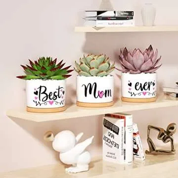 Christmas Mom Gifts, Best Gifts for Mom from Daughter Son Kids Unique, Best Mom Ever Succulent Pots for Plants Indoor Ceramic Planter, Gift Boxed Thanksgiving Birthday Gifts for Mom Mother-in-Law Wife
