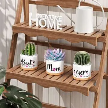 Christmas Mom Gifts, Best Gifts for Mom from Daughter Son Kids Unique, Best Mom Ever Succulent Pots for Plants Indoor Ceramic Planter, Gift Boxed Thanksgiving Birthday Gifts for Mom Mother-in-Law Wife