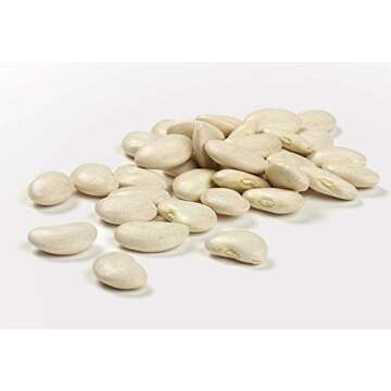 Quality Camellia Dried Large Lima Beans for Hearty Meals