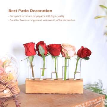 KAXYEW Plant Propagation Station Gift for Plant Lovers