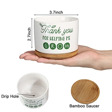 DOMG Ceramic Succulent Pot - Indoor Outdoor Planter