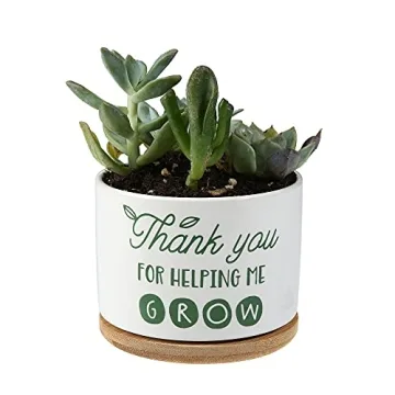 DOMG Ceramic Succulent Pot - Indoor Outdoor Planter