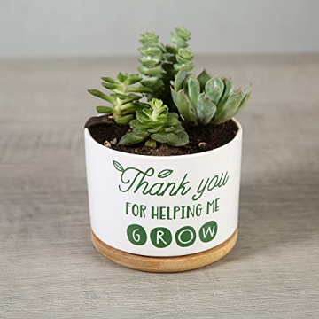 DOMG Ceramic Succulent Pot - Indoor Outdoor Planter