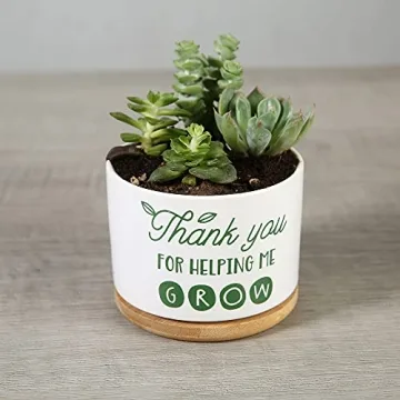 DOMG Ceramic Succulent Pot - Indoor Outdoor Planter
