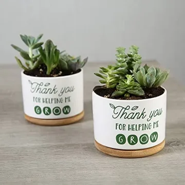 DOMG Ceramic Succulent Pot - Indoor Outdoor Planter