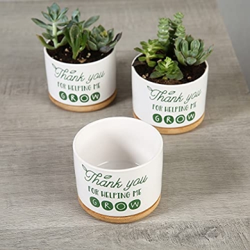 DOMG Ceramic Succulent Pot - Indoor Outdoor Planter