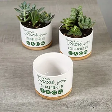 DOMG Ceramic Succulent Pot - Indoor Outdoor Planter