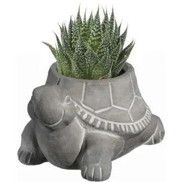 Classic Home and Garden Cement Buddies Indoor Outdoor Planter with Drainage Hole, Turtle, Natural Gray, Small, 6in