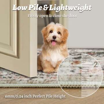 Roxstand 8x10 Washable Rug for Home Decor