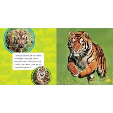 Explore My World Tigers