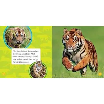 Explore My World Tigers