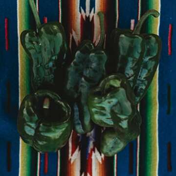 Poblano Ancho Gigantea Chili Pepper (Mildly Hot) - 10 Seeds - Heirloom Mexican Chile Variety, Non-GM...