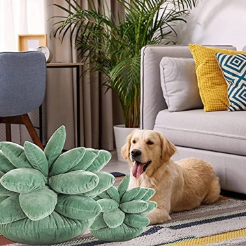 Cute Succulent Plush Pillow for Home Décor and Gifting
