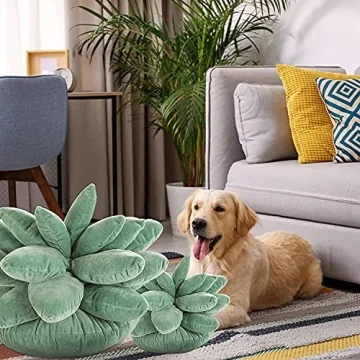 Cute Succulent Plush Pillow for Home Décor and Gifting