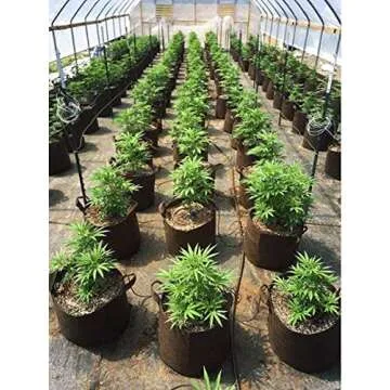 Best Root Pouch 7 Gallon (10 Pack) Fabric POTS and Grow Bags from MAUI MIKE'S.Soft POTS Have Sewn Handles for Easy Moving Grow Bigger and Healthier Tomatoes,Herbs and Veggies.