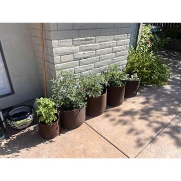 Best Root Pouch 7 Gallon (10 Pack) Fabric POTS and Grow Bags from MAUI MIKE'S.Soft POTS Have Sewn Handles for Easy Moving Grow Bigger and Healthier Tomatoes,Herbs and Veggies.