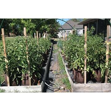 Best Root Pouch 7 Gallon (10 Pack) Fabric POTS and Grow Bags from MAUI MIKE'S.Soft POTS Have Sewn Handles for Easy Moving Grow Bigger and Healthier Tomatoes,Herbs and Veggies.