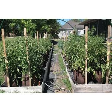Best Root Pouch 7 Gallon (10 Pack) Fabric POTS and Grow Bags from MAUI MIKE'S.Soft POTS Have Sewn Handles for Easy Moving Grow Bigger and Healthier Tomatoes,Herbs and Veggies.