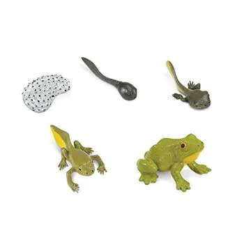Safari Ltd. Life Cycle of a Frog Figurine Set - Educational Biology Toy for Kids
