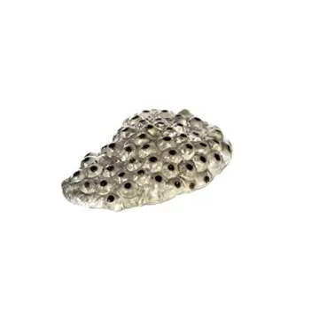 Safari Ltd. Frog Life Cycle Figurine Set for Kids