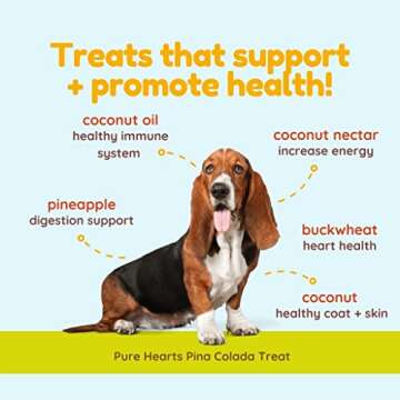 Cocotherapy Pina Colada Coconut Cookies - 5 Oz