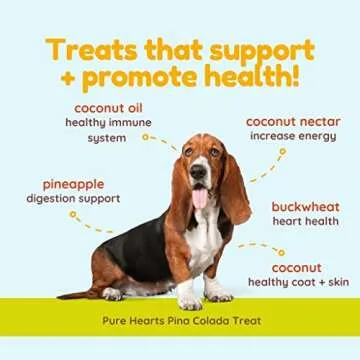 Cocotherapy Pina Colada Coconut Cookies - 5 Oz